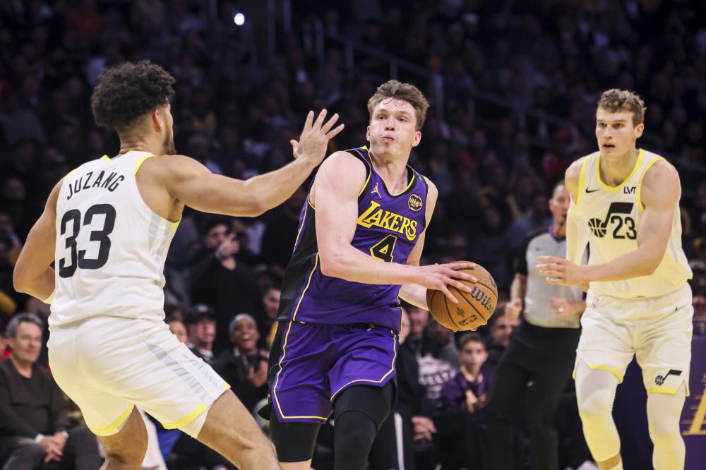 并借助专业 并借助专业